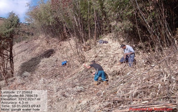 Improvement of Wildlife Habitat